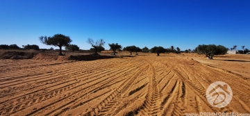 V506 -                            Vente
                           Terrain Djerba