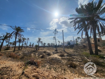 V514 -                            Koupit
                           Terrain Djerba