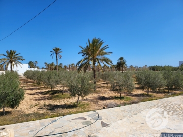 V515 -                            Koupit
                           Houch Djerbien Djerba