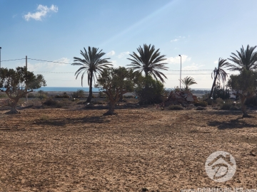 V518 -                            Vente
                           Terrain Djerba