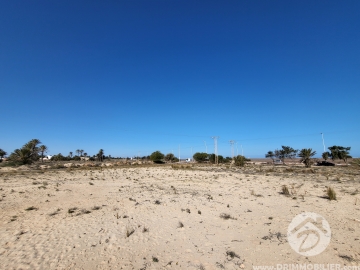 V519 -                            Sale
                           Terrain Djerba