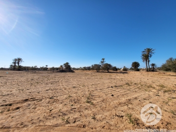 V520 -                            Sale
                           Terrain Djerba