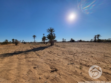 V520 -                            Koupit
                           Terrain Djerba