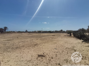 V530 -                            Sale
                           Terrain Djerba