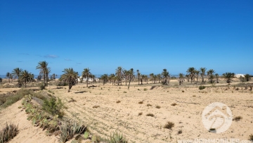 V537 -                            Vente
                           Terrain Djerba