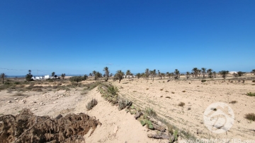 V537 -                            Vente
                           Terrain Djerba