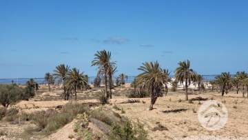 V537 -                            Sale
                           Terrain Djerba