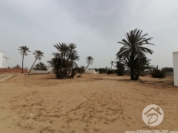 V540 -                            Sale
                           Terrain Djerba