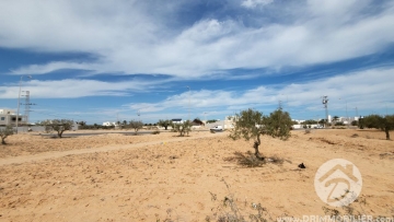 V551 -                            Vente
                           Terrain Djerba