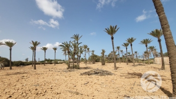 V552 -                            Sale
                           Terrain Djerba