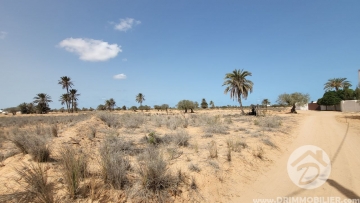  V553 -  Vente  Terrain Djerba