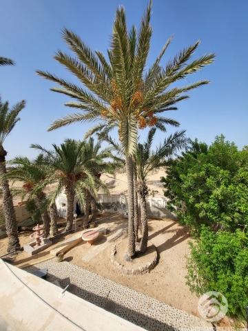 V554 -                            بيع
                           Houch Djerbien Djerba