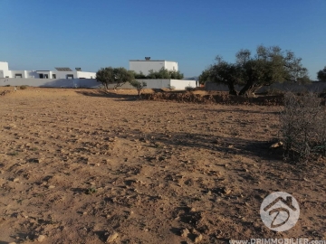  V556 -  Vente  Terrain Djerba