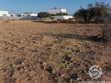 V556 -                            Sale
                           Terrain Djerba