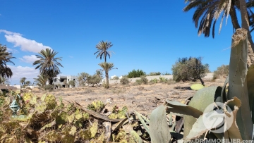 V558 -                            بيع
                           Terrain Djerba