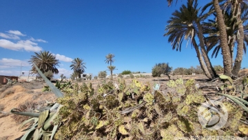 V558 -                            Koupit
                           Terrain Djerba