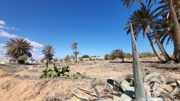 V558 -                            Sale
                           Terrain Djerba