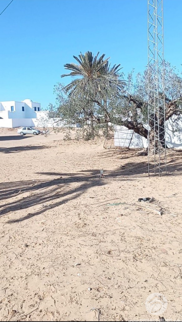  V581 -  Sale  Ground Djerba