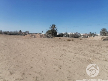 V584 -                            Sale
                           Terrain Djerba