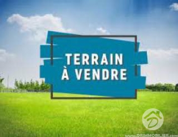 V587 -                            Vente
                           Terrain Djerba