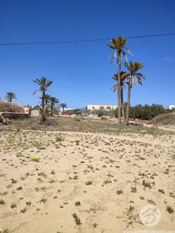 V597 -                            بيع
                           Terrain Djerba