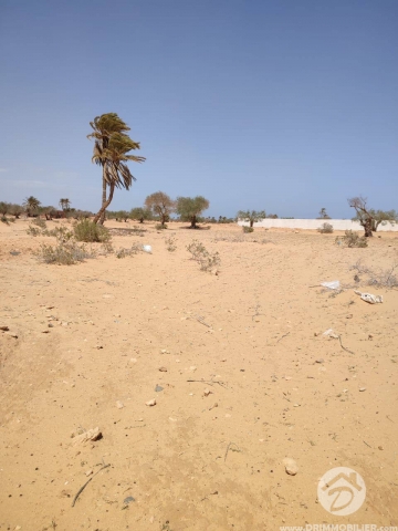 V600 -                            بيع
                           Terrain Djerba