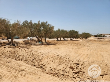 V618 -                            بيع
                           Terrain Djerba