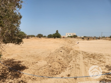 V618 -                            بيع
                           Terrain Djerba