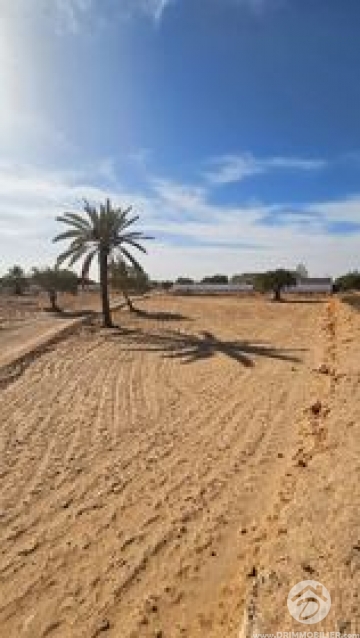 V620 -                            Vente
                           Terrain Djerba