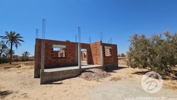 V625 -                            Vente
                           Terrain Djerba