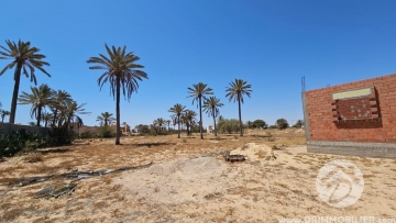 V625 -                            Vente
                           Terrain Djerba
