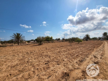 V628 -                            Vente
                           Terrain Djerba