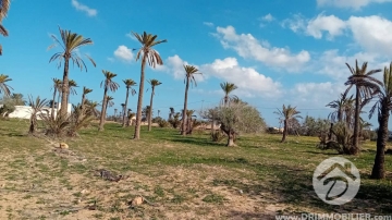 V636 -                            Vente
                           Terrain Djerba