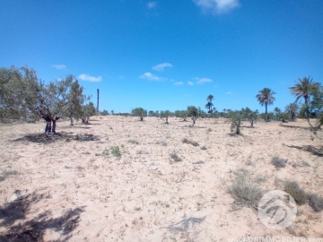  V639 -  Vente  Terrain Djerba