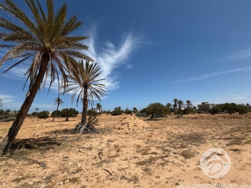  V685 -    Terrain Djerba
