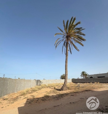  V687 -    Terrain Djerba
