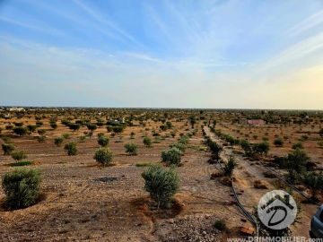V693 -                            بيع
                           Terrain Djerba