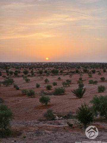 V693 -                            بيع
                           Terrain Djerba