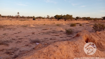 V731 -                            Vente
                           Terrain Djerba