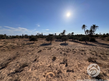 V746 -                            Vente
                           Terrain Djerba