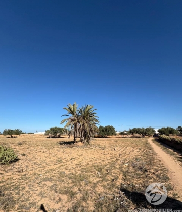 V748 -                            Vente
                           Terrain Djerba