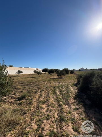 V750 -                            Vente
                           Terrain Djerba