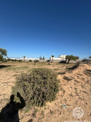 V750 -                            Vente
                           Terrain Djerba