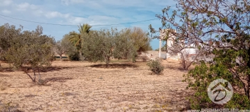  V756 -  Koupit  přízemní Djerba