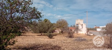 V756 -                            Koupit
                           Terrain Djerba