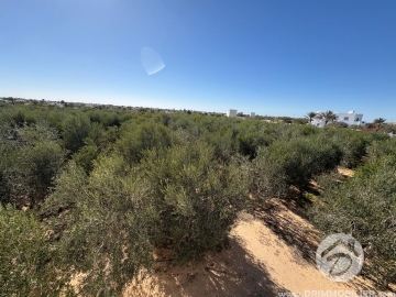 V761 -                            Vente
                           Terrain Djerba