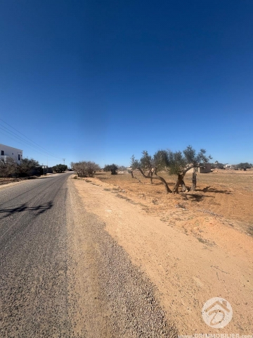 V762 -                            Vente
                           Terrain Djerba