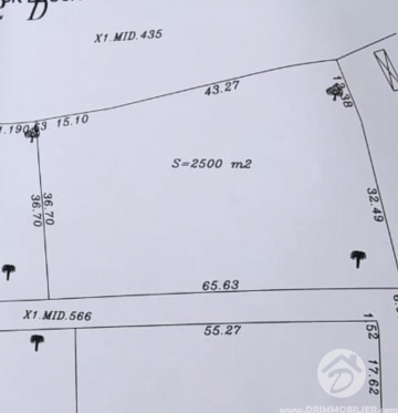 V763 -                            Vente
                           Terrain Djerba