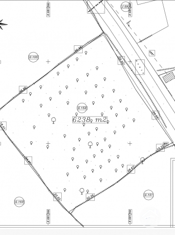 V766 -                            Vente
                           Terrain Djerba