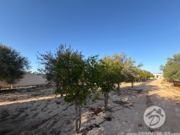 V770 -                            Vente
                           Villa Meublé Djerba